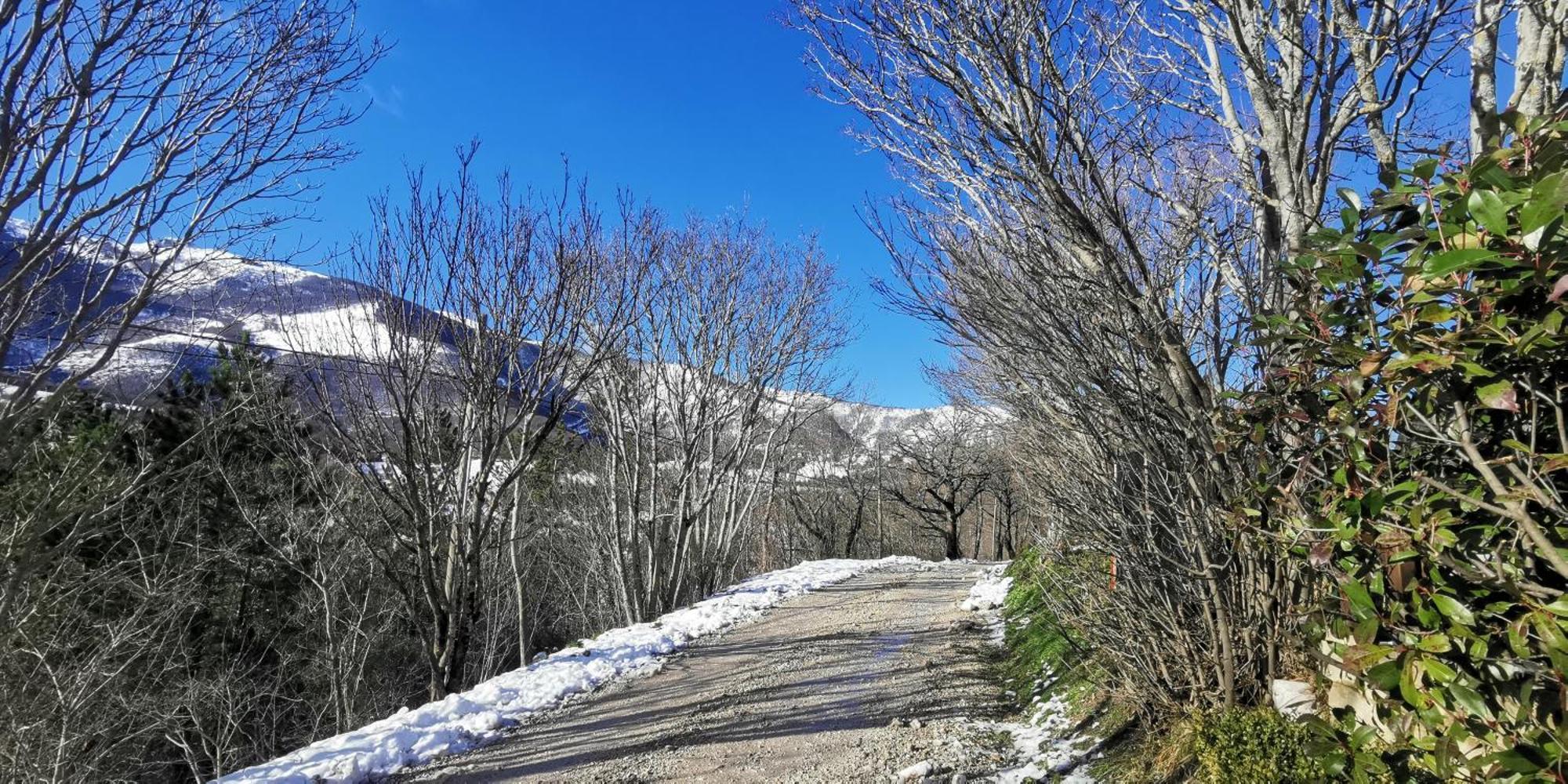 La Casetta Di Gino E Marcella Sassoferrato Exteriér fotografie